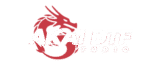 Logo AKAI